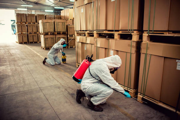 Professional Pest Control in Collinwood, TN
