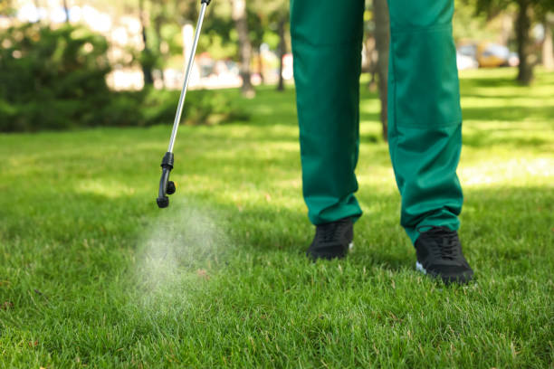 Best Rat Extermination Near Me  in Collinwood, TN