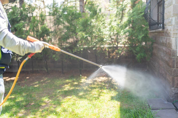 Spider Control Near Me in Collinwood, TN