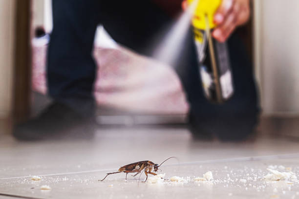 Best Pest Prevention Services  in Collinwood, TN