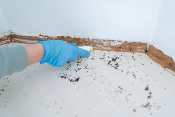 Pest Control Cost in Collinwood, TN