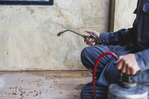 Best Best Pest Control Companies  in Collinwood, TN